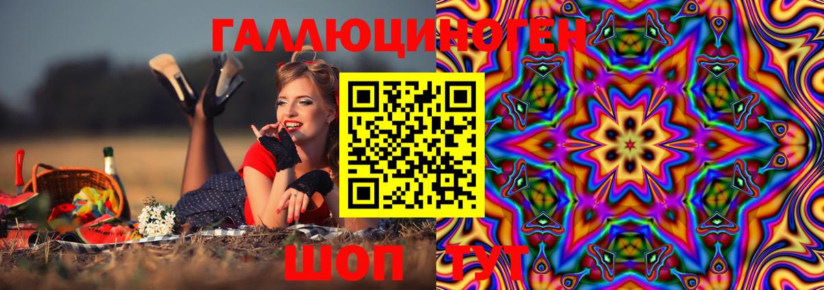 Галлюциногенные грибы Psilocybine cubensis Кирово-Чепецк