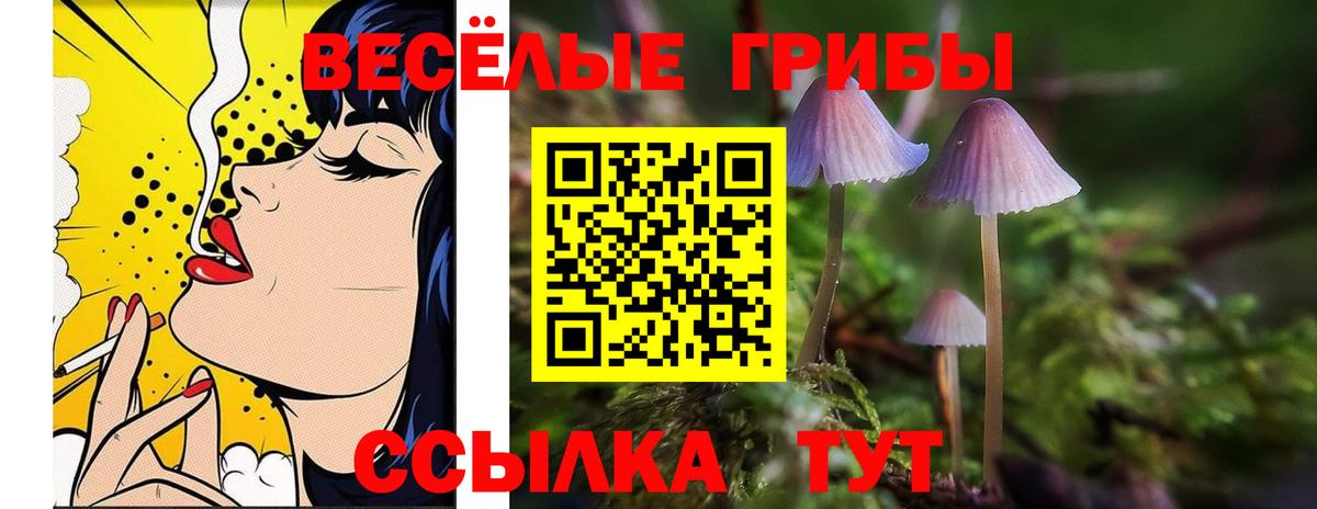 Кирово-Чепецк  Галлюциногенные грибы Magic Shrooms  Вход с VPN 